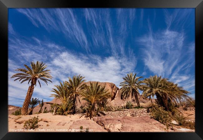 Finnt Oasis, Morocco Framed Print by Peter O'Reilly