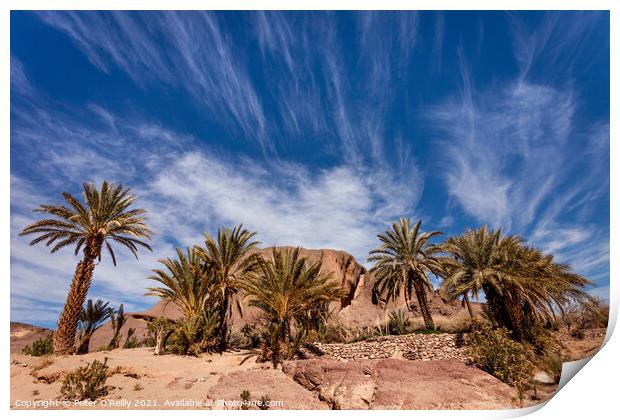 Finnt Oasis, Morocco Print by Peter O'Reilly