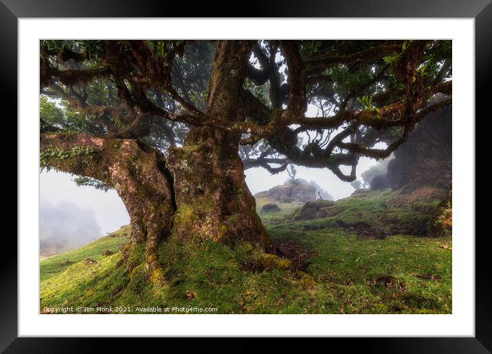 Fanal Forest, Madeira Framed Mounted Print by Jim Monk