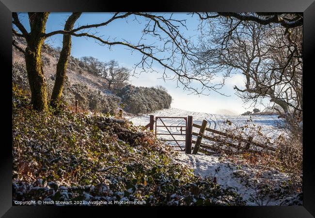 A Winter's Walk Framed Print by Heidi Stewart