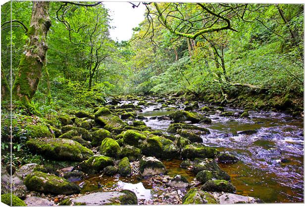 River Twiss - Kingsdale Valley Canvas Print by Trevor Kersley RIP