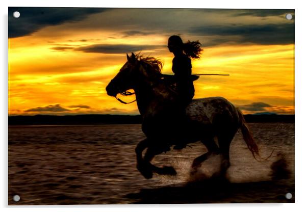 Girl Horse riding silhouetted against sunset Acrylic by Helkoryo Photography