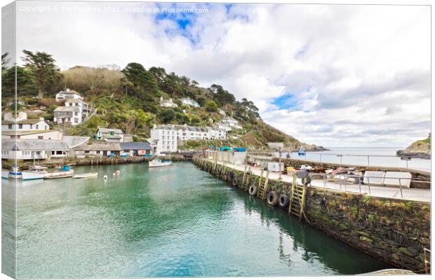 Polperro Outer Harbour Canvas Print by Terri Waters