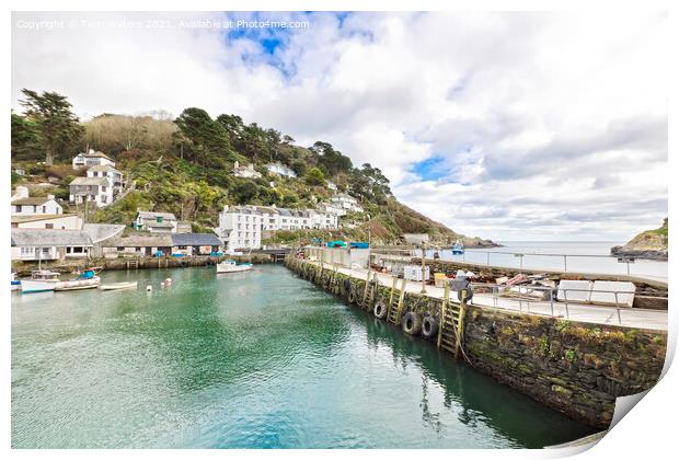 Polperro Outer Harbour Print by Terri Waters