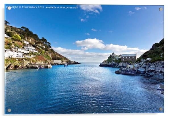 Late Afternoon in Polperro Acrylic by Terri Waters