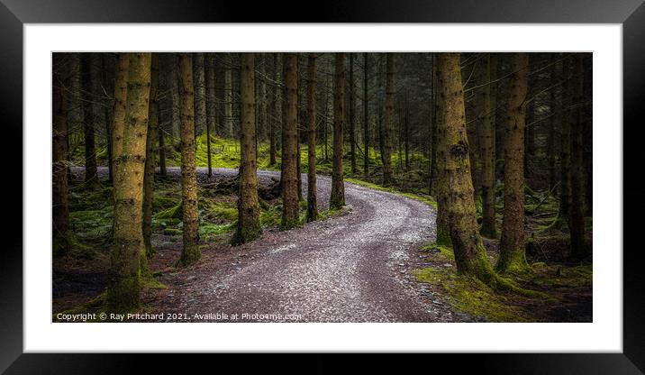Path Through Whinlatter Forest Framed Mounted Print by Ray Pritchard