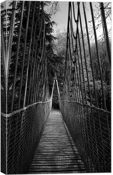 Alnwick Garden Suspension Bridge  Canvas Print by Jacqui Farrell
