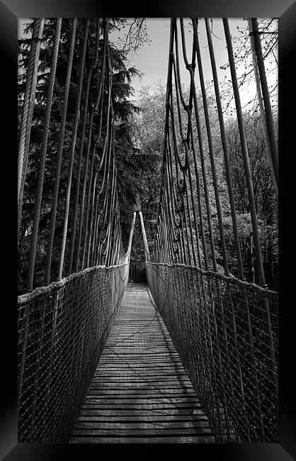 Alnwick Garden Suspension Bridge  Framed Print by Jacqui Farrell