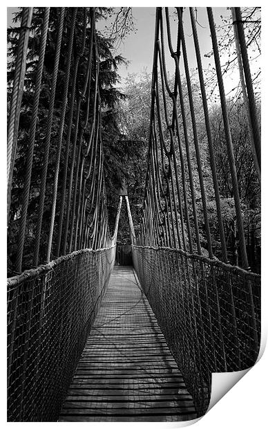 Alnwick Garden Suspension Bridge  Print by Jacqui Farrell