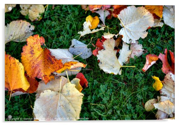 Autumn leaves Acrylic by Gordon Maclaren