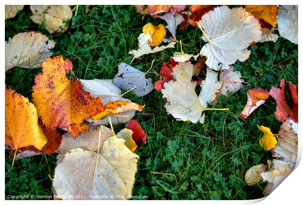 Autumn leaves Print by Gordon Maclaren