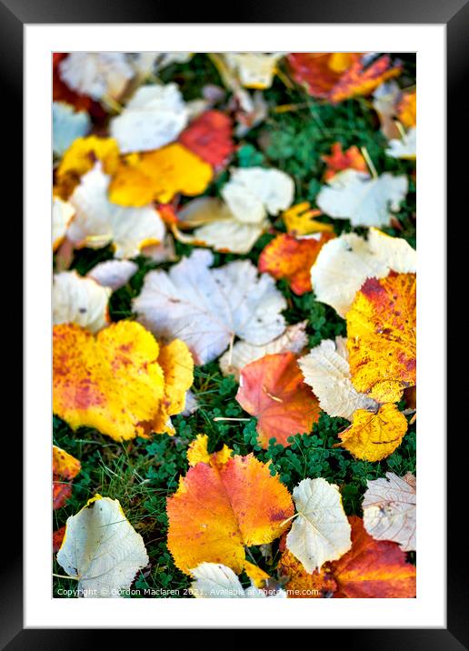 Autumnal Leaves Framed Mounted Print by Gordon Maclaren