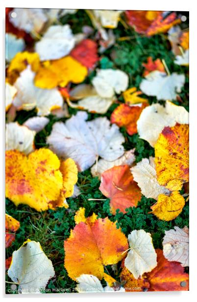 Autumnal Leaves Acrylic by Gordon Maclaren
