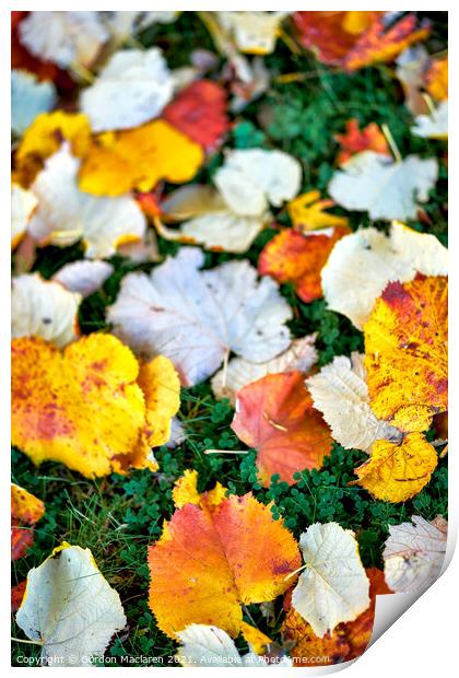 Autumnal Leaves Print by Gordon Maclaren