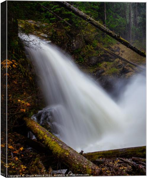 Winter Waterfall Canvas Print by Chuck Koonce