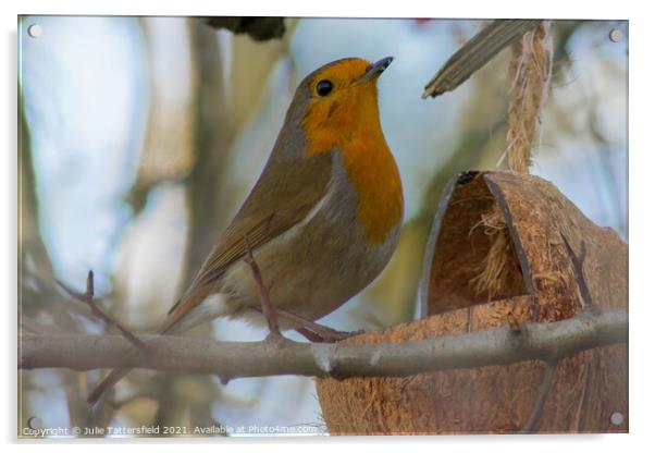lunch time for this elegant Robin Acrylic by Julie Tattersfield