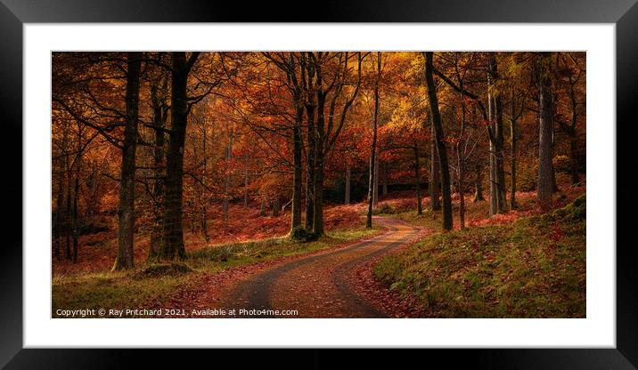 Winding Road Framed Mounted Print by Ray Pritchard