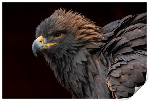  Gloden Eagle Print by Pam Mullins