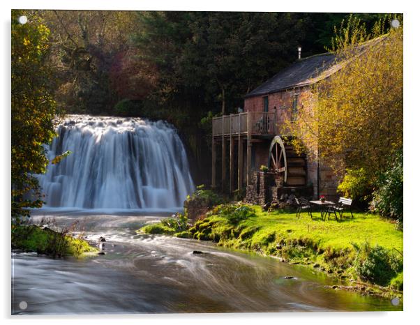 Rutter Force, Appleby in Westmoreland, Cumbria. Acrylic by Tommy Dickson