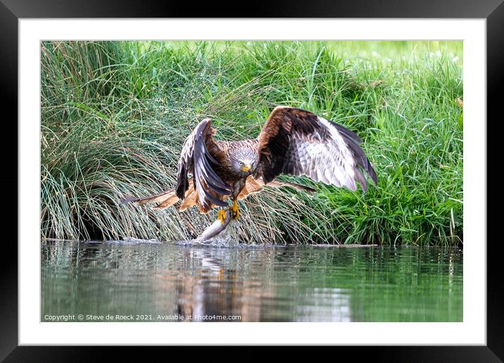 Osprey catching a fish Framed Mounted Print by Steve de Roeck