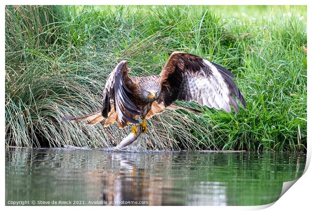 Osprey catching a fish Print by Steve de Roeck