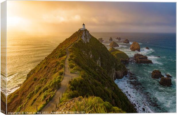 Nugget Point and lighthouse with sunrise at South Island, New Zealand Canvas Print by Chun Ju Wu