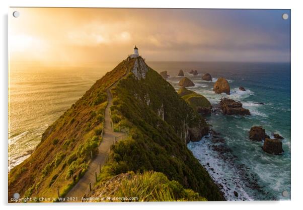 Nugget Point and lighthouse with sunrise at South Island, New Zealand Acrylic by Chun Ju Wu