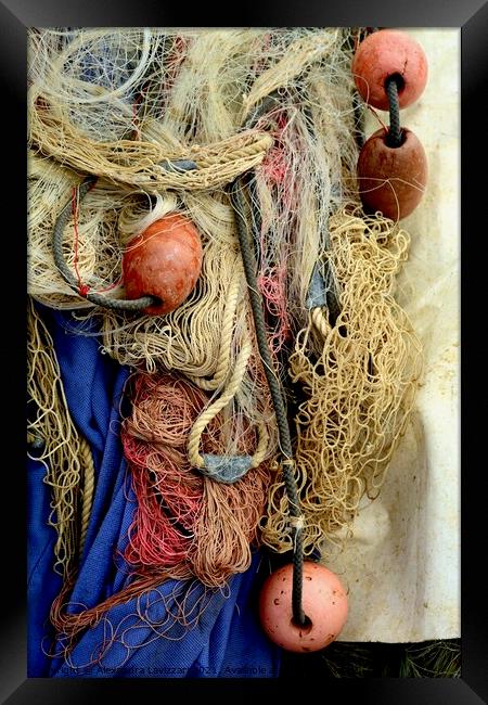 Sicilian Fishing Net Framed Print by Alexandra Lavizzari