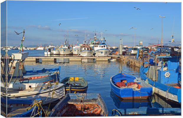 Trapani Harbour Canvas Print by Alexandra Lavizzari