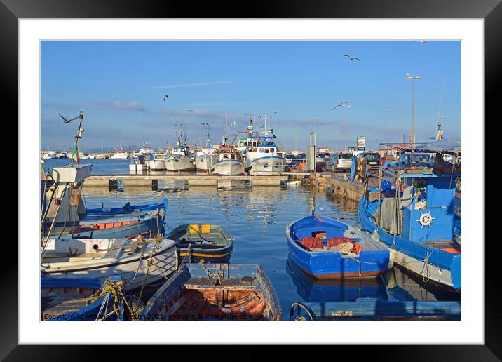 Trapani Harbour Framed Mounted Print by Alexandra Lavizzari