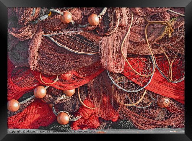 Red Fishing Nets Framed Print by Alexandra Lavizzari