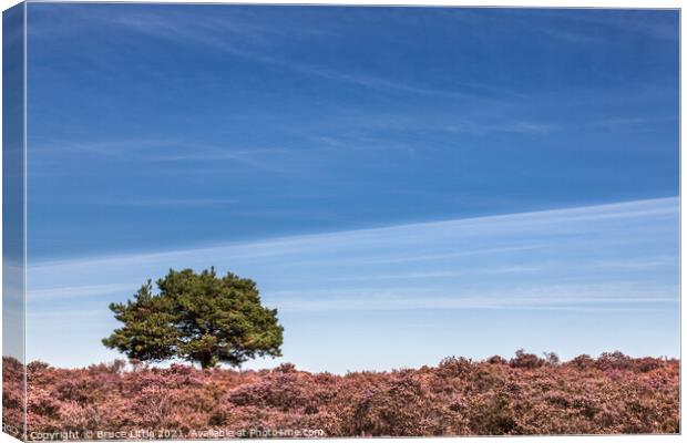 Heathland Tree Abstract Canvas Print by Bruce Little