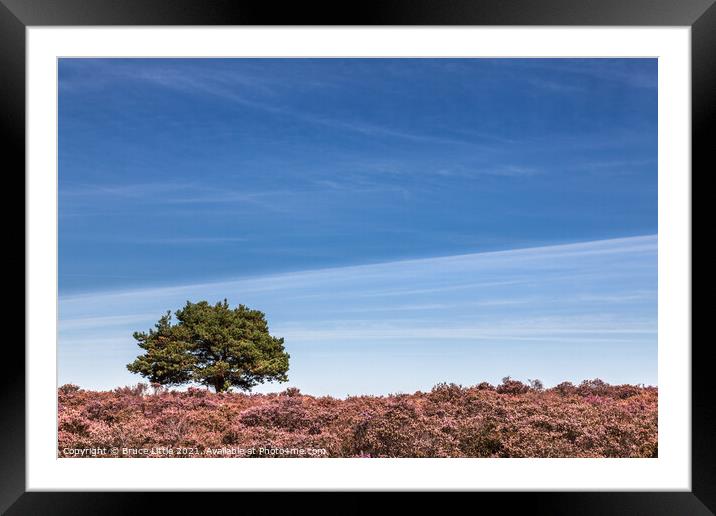 Heathland Tree Abstract Framed Mounted Print by Bruce Little