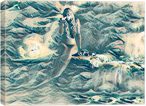 Mermaid on the rocks Canvas Print by Stuart Chard