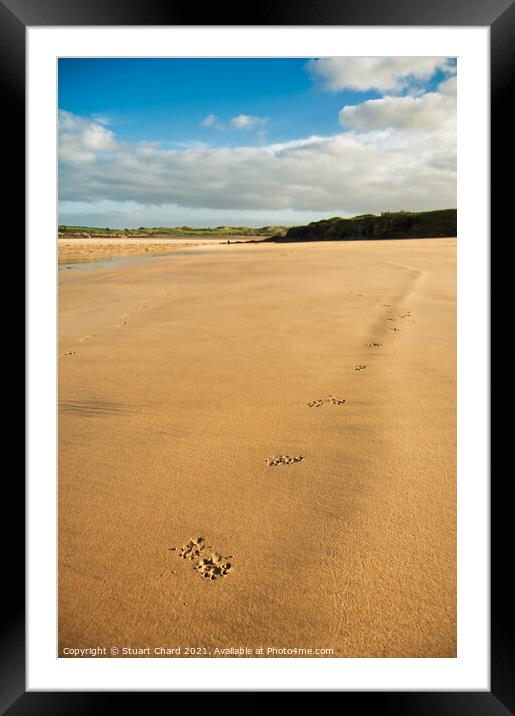 St George's Cove Beach, Padstow,Cornwall Framed Mounted Print by Stuart Chard