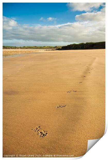 St George's Cove Beach, Padstow,Cornwall Print by Travel and Pixels 
