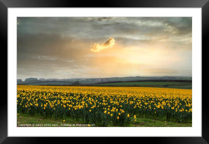 Daffodils fields,yellow daffodil Framed Mounted Print by kathy white
