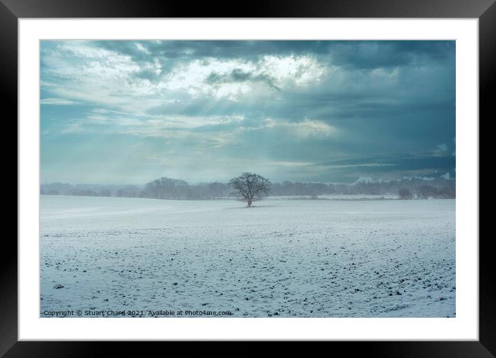 Lone tree in a snow covered landscape Framed Mounted Print by Travel and Pixels 