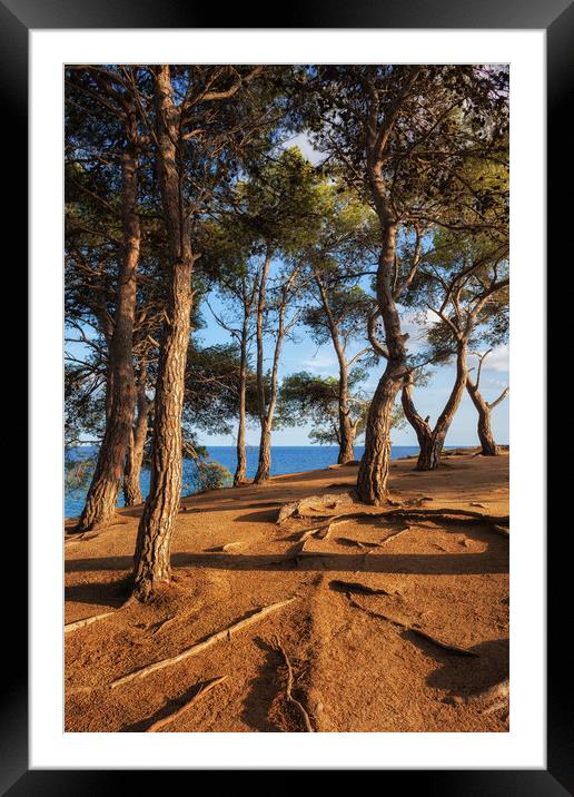 Coastal Sunset on Costa Brava in Spain Framed Mounted Print by Artur Bogacki