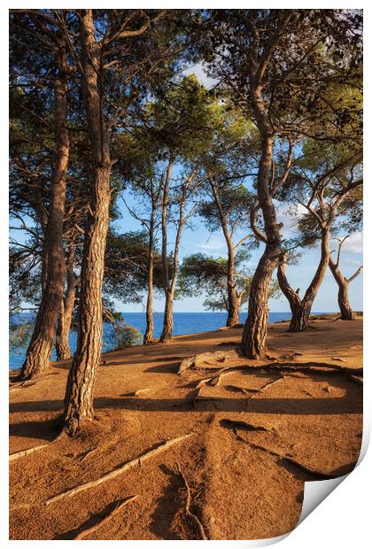 Coastal Sunset on Costa Brava in Spain Print by Artur Bogacki