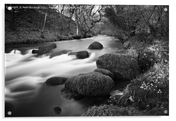 Afon Dwyfor River in Winter Black and White Acrylic by Pearl Bucknall