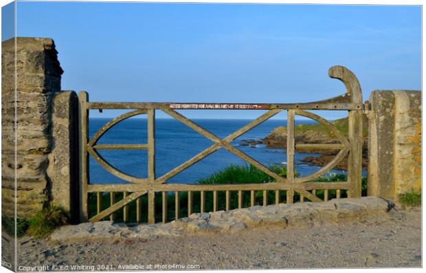 Gate to my holiday Canvas Print by Ed Whiting