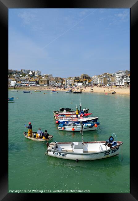 Fisherman in St Ives. Framed Print by Ed Whiting