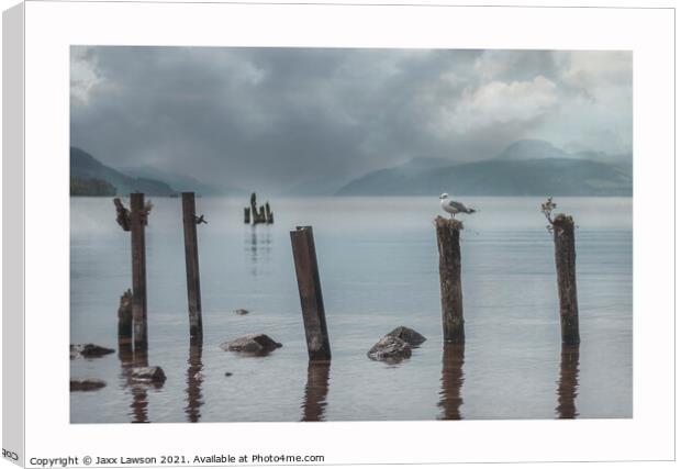 Gull on a post, Loch Ness Canvas Print by Jaxx Lawson