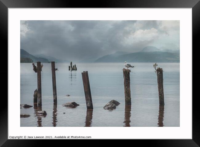 Gull on a post, Loch Ness Framed Print by Jaxx Lawson