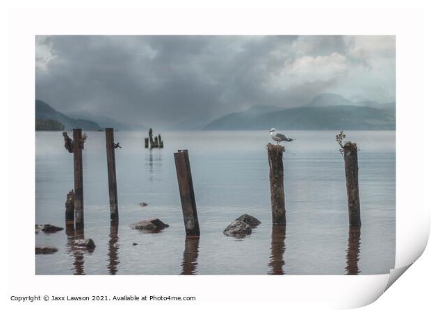 Gull on a post, Loch Ness Print by Jaxx Lawson