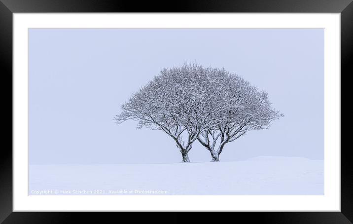 Snowy Lone Tree Framed Mounted Print by Mark Stinchon