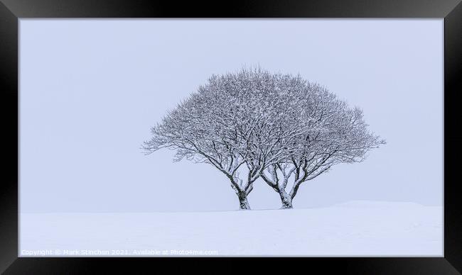 Snowy Lone Tree Framed Print by Mark Stinchon