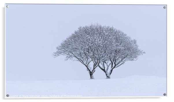 Snowy Lone Tree Acrylic by Mark Stinchon