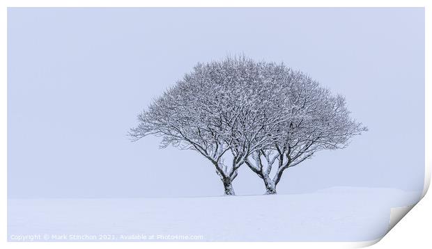 Snowy Lone Tree Print by Mark Stinchon